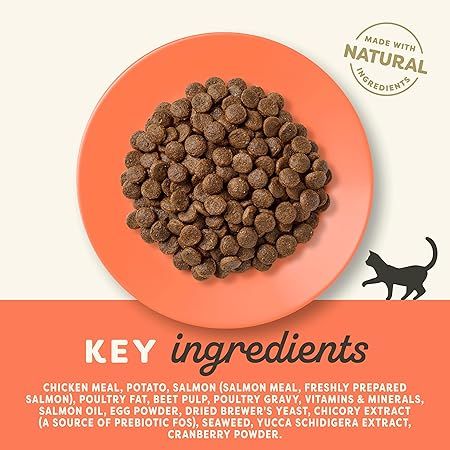 Applaws Chicken & Salmon Dry Adult Cat Food thumbnail 2